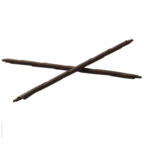 Dark Chocolate X-Large Pencils